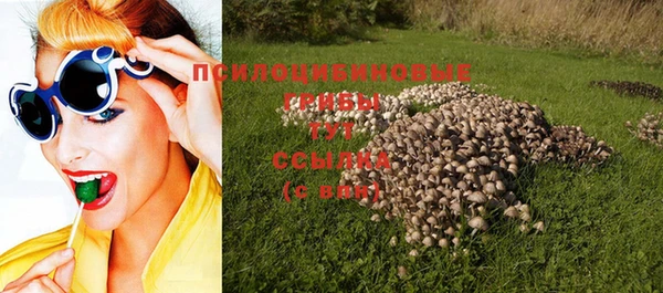 a pvp Алзамай