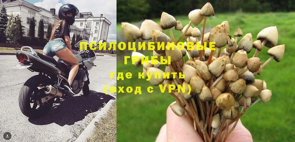 a pvp Алзамай