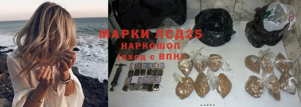 a pvp Алзамай