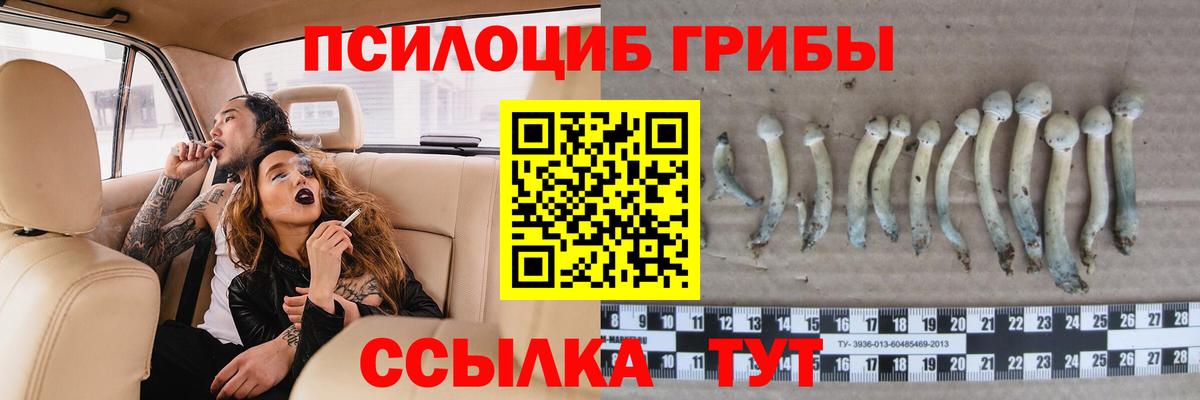 Псилоцибиновые грибы мухоморы  Белая Калитва 